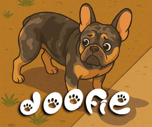 Doofie - 3 year old French Bulldog