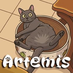 ARTEMIS - 4 year old Russian Blue