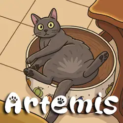 ARTEMIS - 4 year old Russian Blue