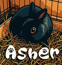 Asher - 7 year old Mini