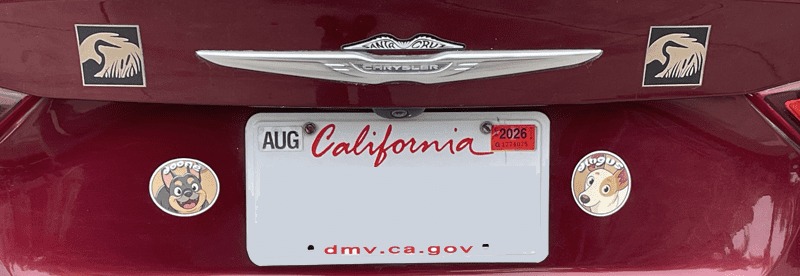 Dogfirmations with Doofie and Dingus