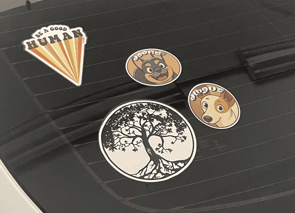 Dogfirmations with Doofie and Dingus