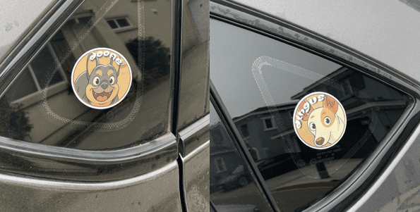 Dogfirmations with Doofie and Dingus