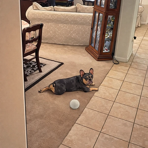 Tuckered