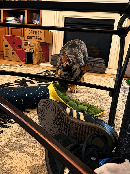 Playing
