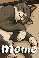 Momo - 2 year old Tuxedo